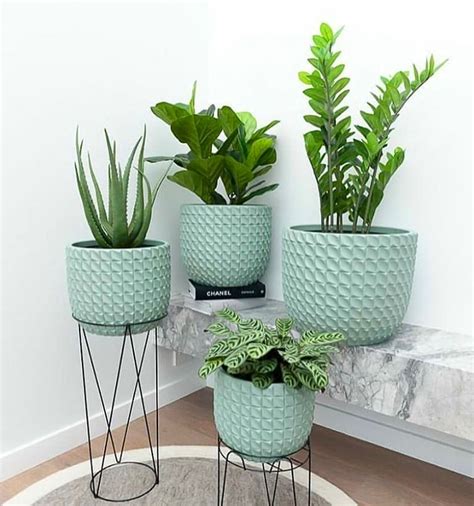 65 Indoor Garden Ideas You Will Fall For Plant Decor Indoor House
