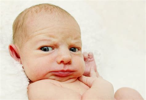 Newborn Baby Looking Funny Stock Photo Image Of Silly 27702316