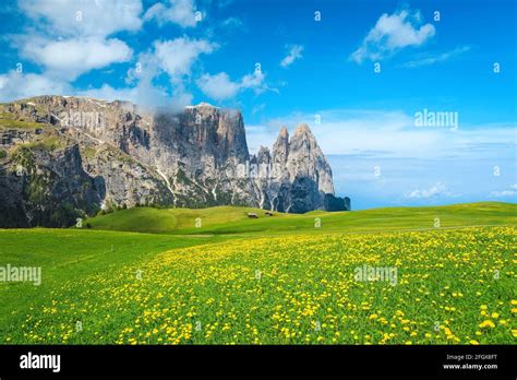Majestic Alpe Di Siusi Mountain Resort With Flowery Meadows And Blue