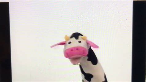 Baby Einstein Baby Macdonald Cow Sneeze Youtube