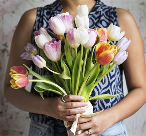 Spring Tulips Holding Flowers Close Up Women Bunch Of Flowers