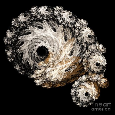 Abstract Seashell Digital Art By Andee Design Fine Art America