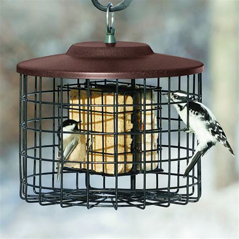 Duncraft Squirrel Proof Double Suet Feeder Brown