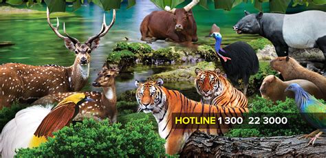 Jual tiket masuk melaka zoo admission ticket online. Zoo Melaka ~ Marma Homestay Melaka