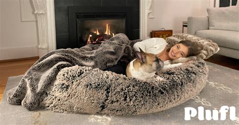 Plufl The Dog Bed For Humans Indiegogo