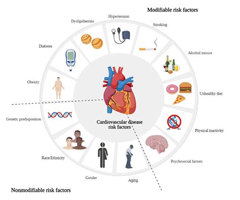 Cardiovascular Disease Risk Factors Created With Download Scientific Diagram