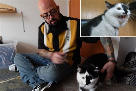 'My Cat from Hell' host stumped by real cat from hell