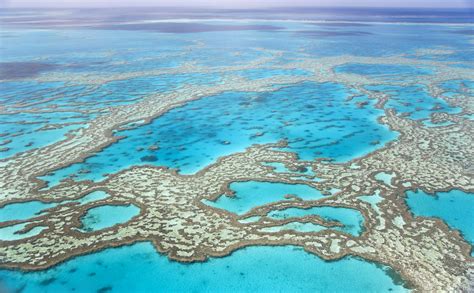 The 8 Best Great Barrier Reef Tours Of 2021
