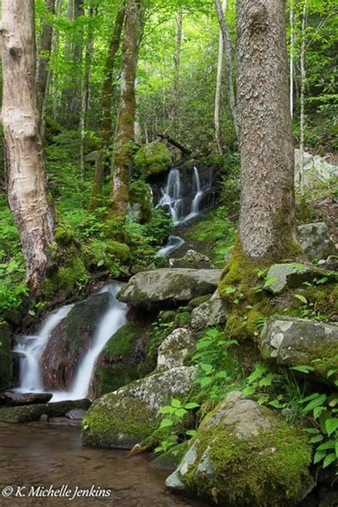 Mountain Stream Waterfall Print Trees Creek River Cascade Rocks