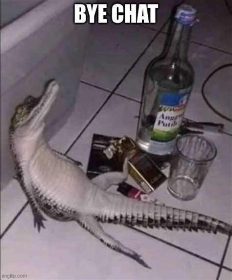 Drunk Crocodile Imgflip
