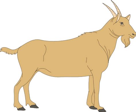 Download High Quality Goat Clipart Vector Transparent Png Images Art