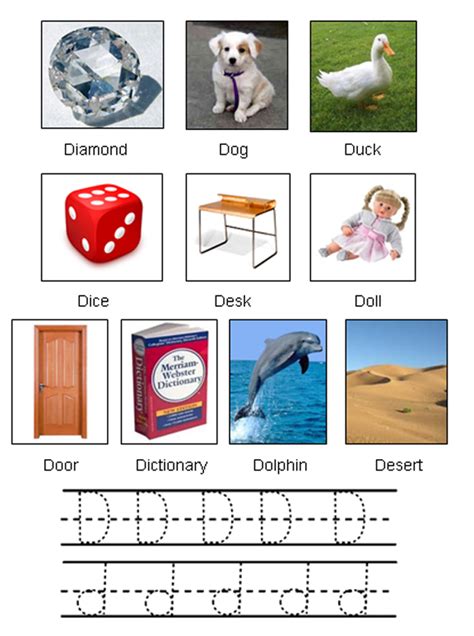 Picture Of Objects Starting With Letter D