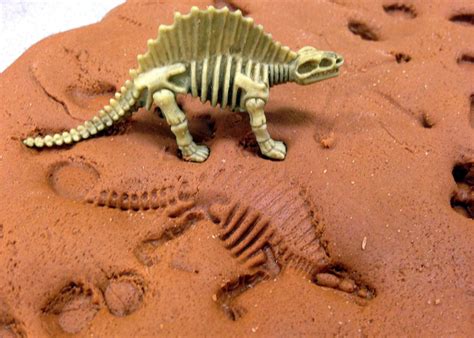 Calling All Paleontologists Fossil Making Childrens Museum Of Richmond
