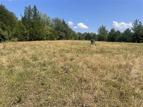 Live, Hunt, Play | Franklin County | Littleville, AL