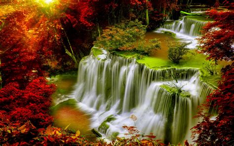 Cascade Falls Autumn Forest Red Leaves Sunlight Desktop Hd