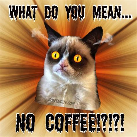 No Coffee What Coffee Type Cat Coffee I Love Coffee Coffee