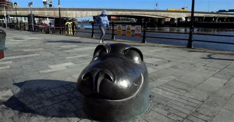 The Story Behind Belfasts Sammy The Seal Sculptures At Donegall Quay