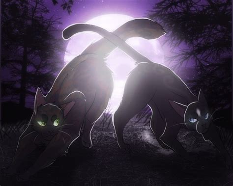 Shadowclan ☾ The Wily And Proud ☾ ☼ ϟ ≈ ☁ Warrior Cats Forums U0
