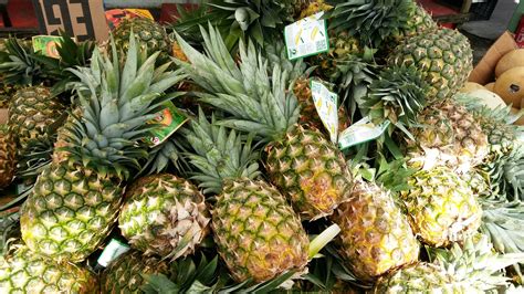 Grow Your Own Pineapples Treasure Coast Local News And Local Events