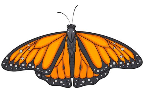 Free Monarch Butterfly Clipart Download Free Monarch Butterfly Clipart
