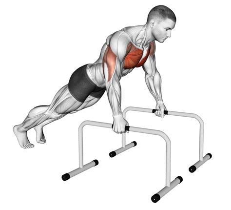 Push Up Bars Are There Any Benefits To Using Them Inspire Us