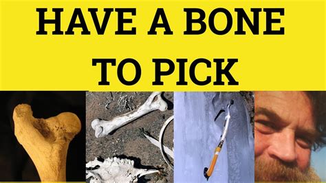 Have A Bone To Pick Idioms Bone To Pick Meaning Examples British