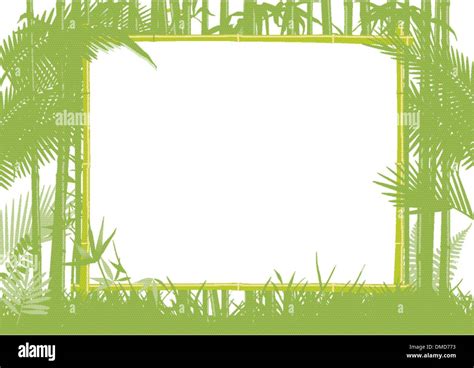 Bamboo And Jungle Frame Stock Vector Image And Art Alamy