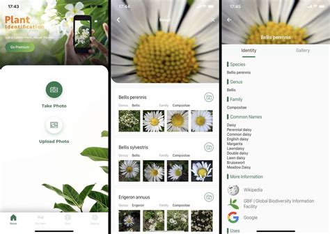 The 8 Best Plant Identification Apps of 2021