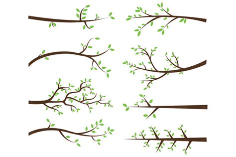 Branches Clip Art Preview Olive Clipart Hdclipartall The Best Porn Website