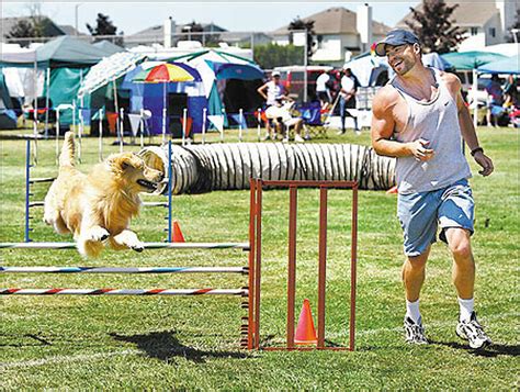 Dog agility: A real high for both canine and handler
