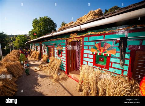 Indian Woman At His House Where A Bunch Of Wheat Is Drying In The Sun Kala Agar Village Kumaon