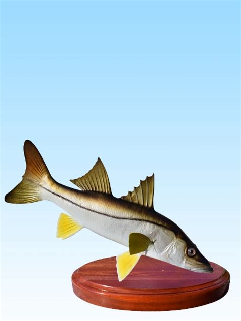 Snook Trophies Fish Mounts Official Site