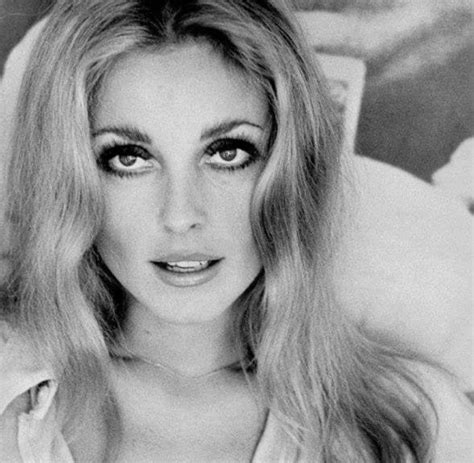 Pin By Christy Huffman Phillips On Simply Miss Tate Sharon Tate