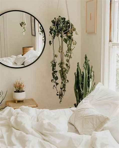 Find Amazing Indoor Hanging Plants For Bedroom Ideas And Smart Tips