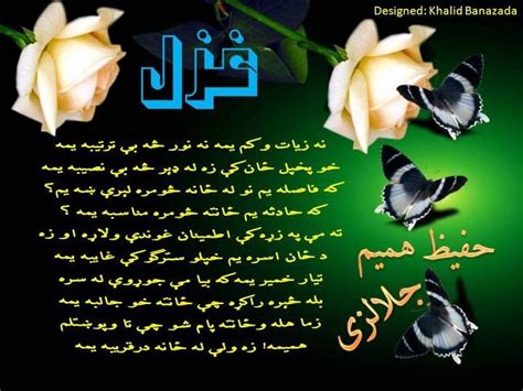 Pashto Adabi Panra Pashto New Poet Ghazal By Hafiz Hamim Jalalzy