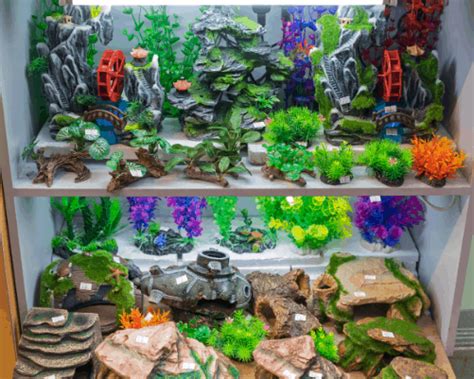 7 Best Ornaments For Your Fish Tank Fish Tank Savvy