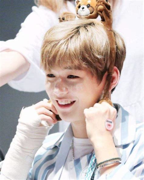 Search, discover and share your favorite wanna one kang daniel kpop gifs. °~Why is Kang Daniel my bias ?~° | Wanna-One(워너원) Amino