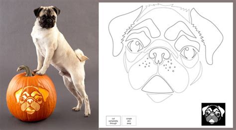 Do You Think Jack Olanterns Go Together With Halloween Like Dogs And