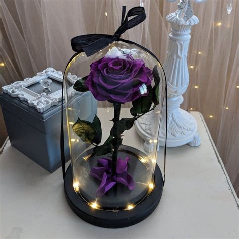 Purple Rose In Glass Dome Forever Monroes Purple Rose Etsy In 2021