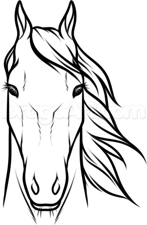 Their knees are just not as obvious as those of a human. easy how to draw a horse head step by step - Yahoo Image ...