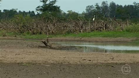 Mais De 120 Municípios Do Rio Grande Do Sul Decretam Situação De Emergência Por Causa Da Seca