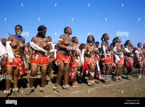 reed dance participant de cérémonie le kwa zulu natal afrique du sud photo stock alamy