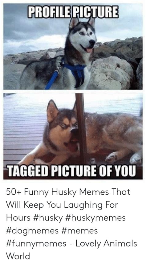 Download Meme Profile Pictures Funny Png And  Base
