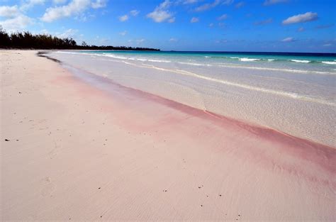 Pink Sand Beach In Eleuthera Bahamas