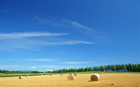 Wallpaper Landscape Sky Field Farm Horizon Summer Straw Hay