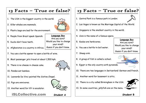 13 Questions 7 Statements True Or False Pair Work English