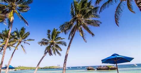 Papa moved here in his early 1930s with wife no 2… lonelyplanet.com Hemingways Watamu to re-launch in January 2018