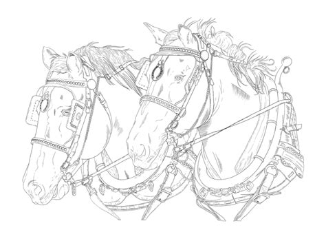 Draft Horse Pair Colouring Page | Horse drawings, Coloring pages, Horse