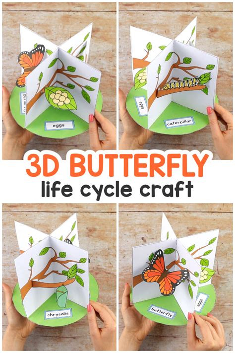 3d Butterfly Life Cycle Craft Easy Peasy And Fun