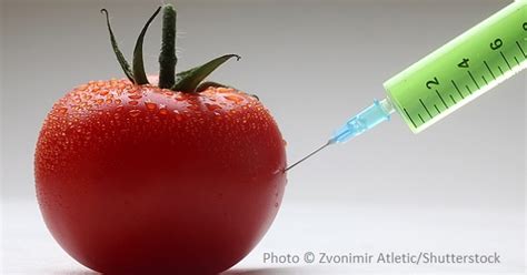 Petition Ban The Use Of Genetically Modified Organisms
